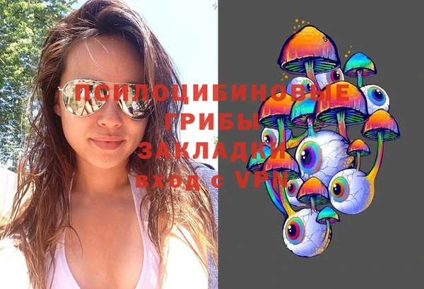 прущие крисы Медногорск