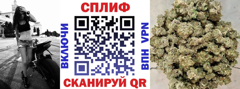 Купить  Руза  Каннабис планчик 